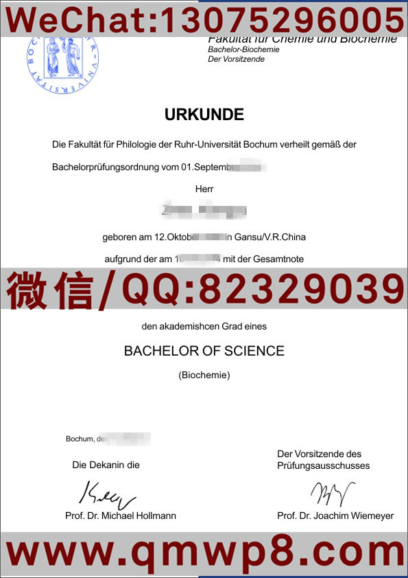 原件排版德国波鸿鲁尔大学毕业证样本的电子版图片
