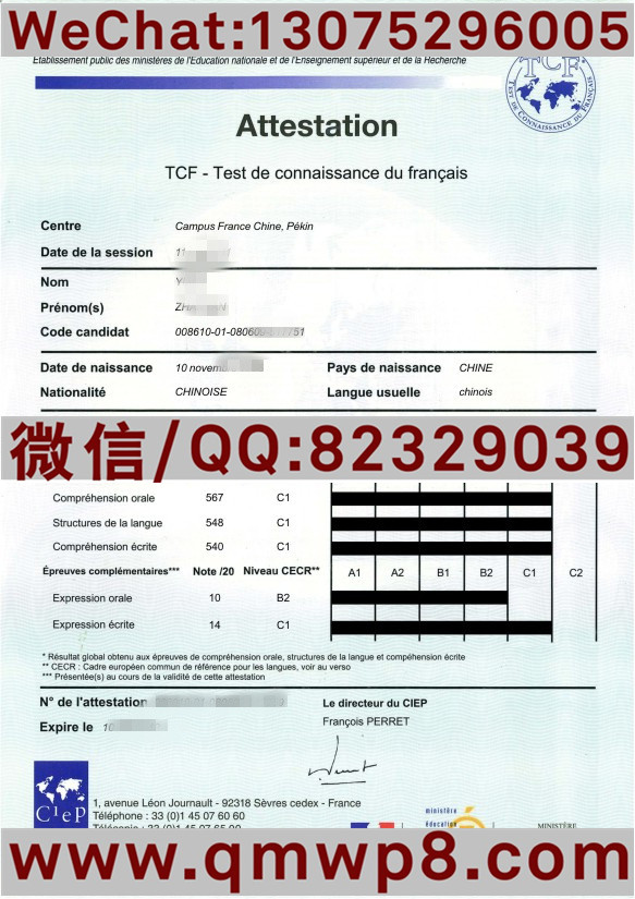 原件排版的法国TCF法语证书样本电子图片