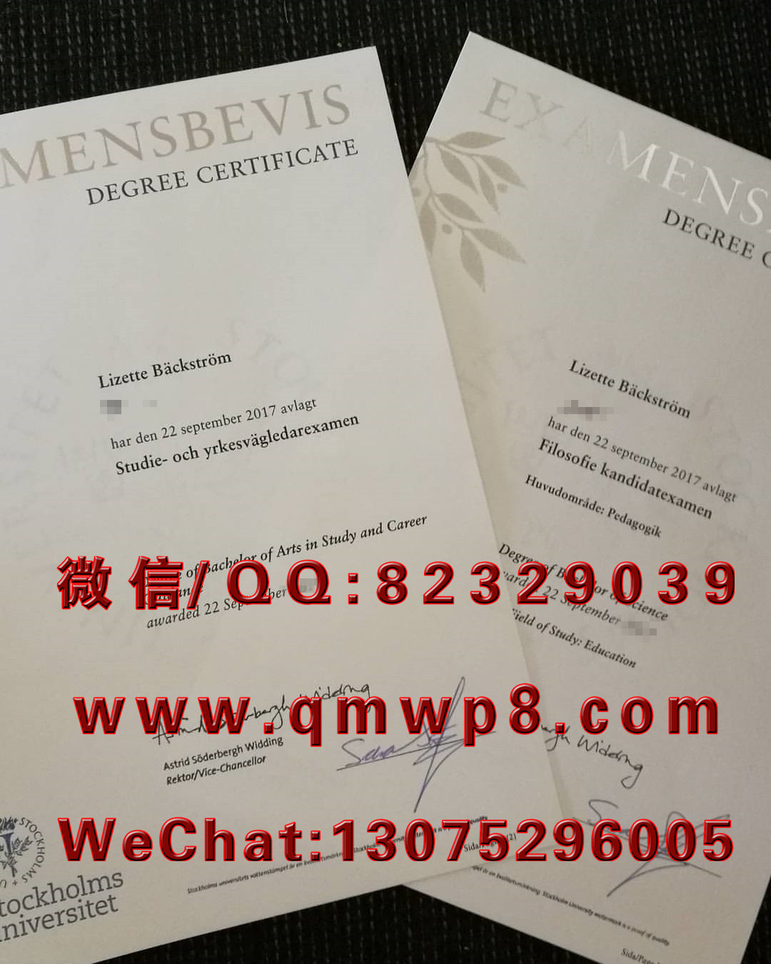 瑞典斯德哥尔摩大学毕业证学历文凭学位证书案例实拍