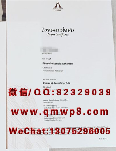 瑞典耶夫勒大学毕业证学历文凭学位证书案例实拍