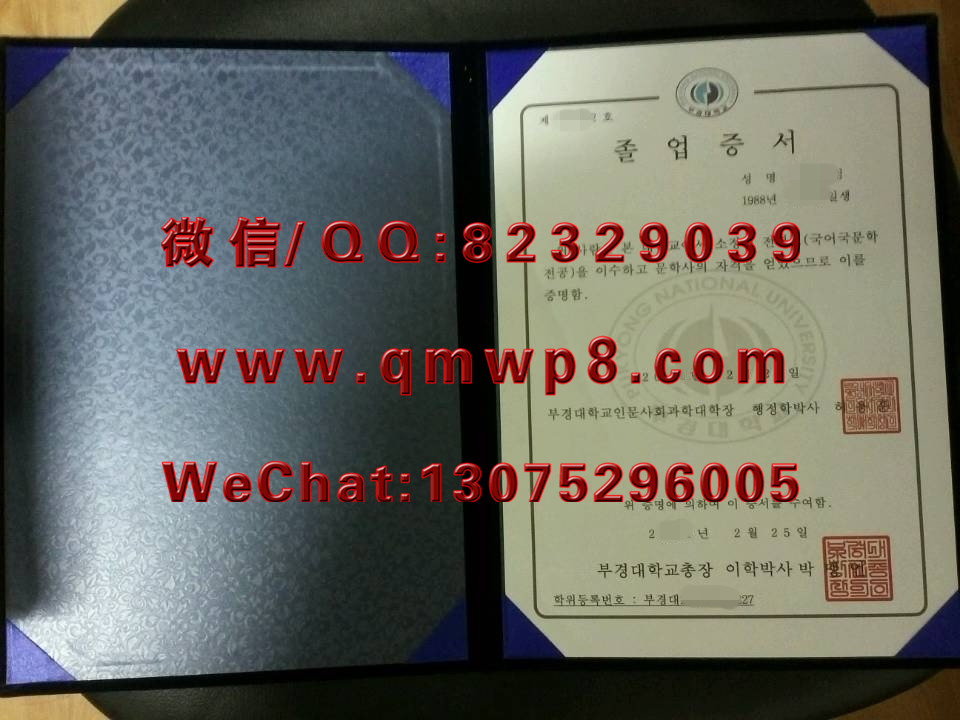 韩国釜庆大学毕业证学历文凭成功案例