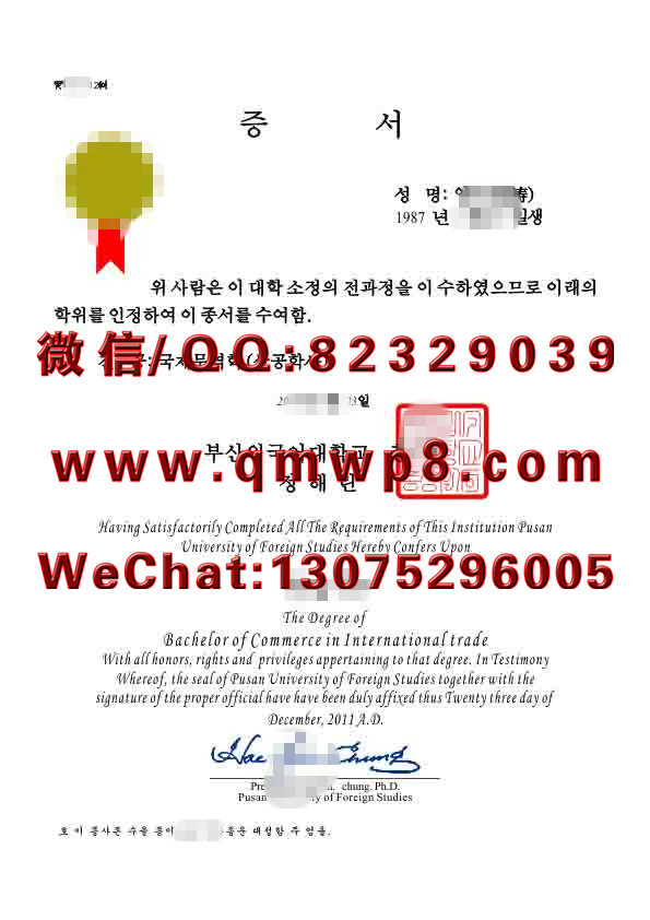 韩国釜山外国语大学毕业证学历文凭电子版模板