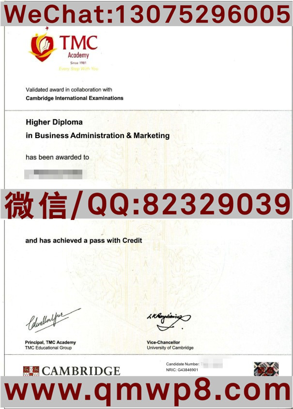 新加坡TMC毕业证学历文凭电子版模板