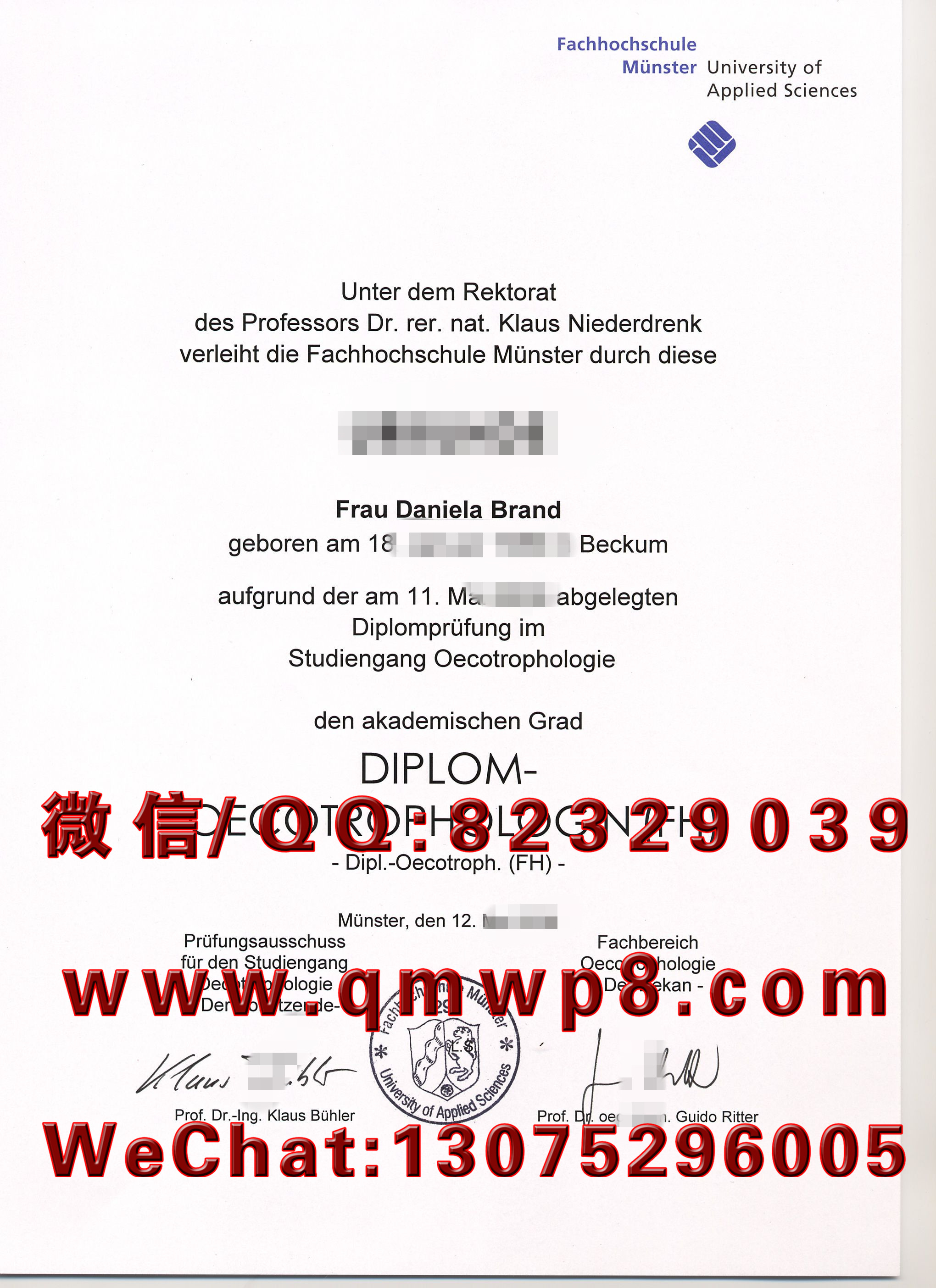 德国明斯特大学毕业证学历文凭学位证书排版电子版