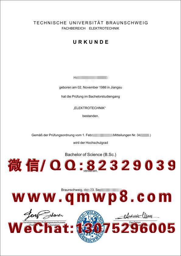 德国布伦瑞克工业大学毕业证学历文凭学位证书排版电子版