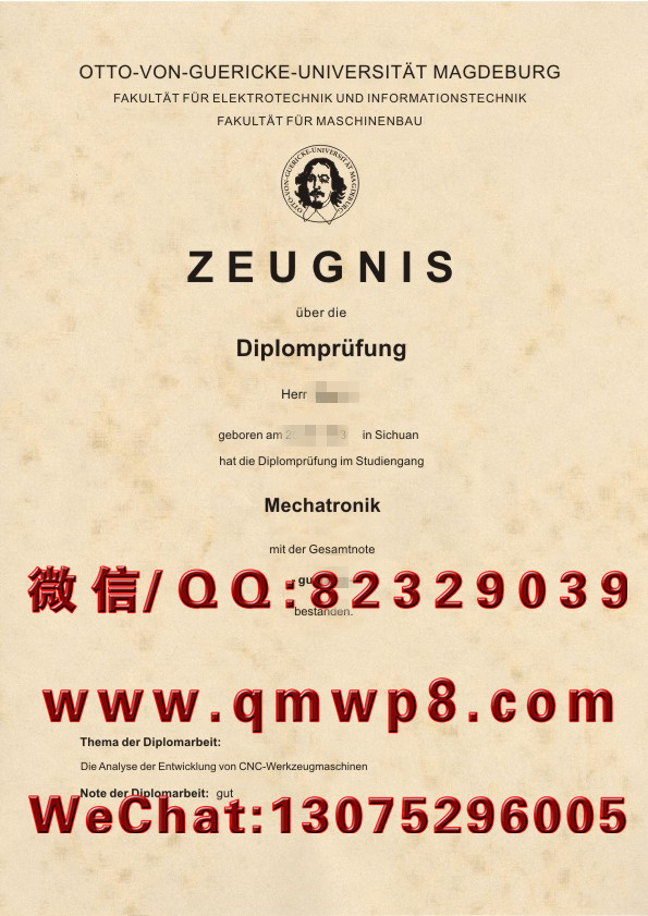 德国马格德堡大学毕业证学历文凭学位证书排版电子版