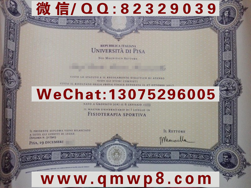 意大利意大利比萨大学毕业证